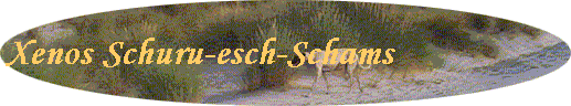 Xenos Schuru-esch-Schams